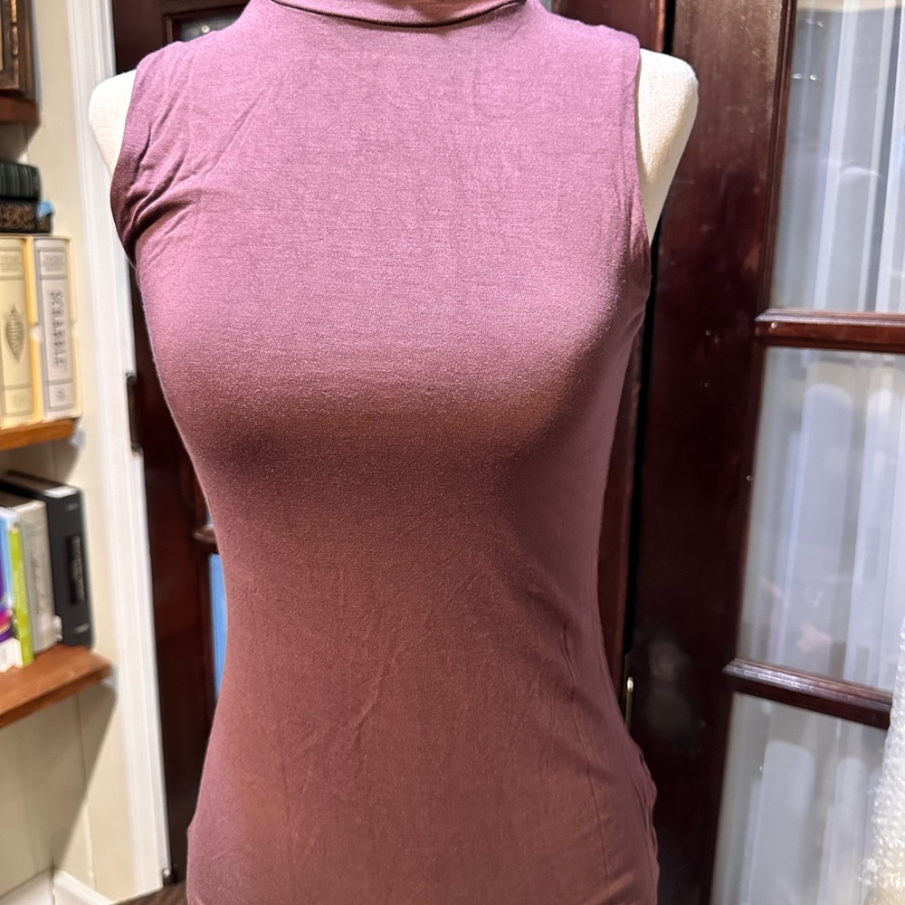 Express Sleeveless Dusty Rose Tank Top